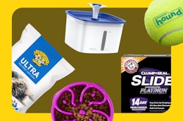 Save on Cat Litter, Dog Toys, and More With Amazon's Best Pet Deals card image