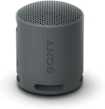Sony SRS-XB100 Portable Speaker