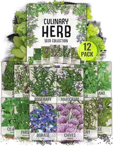 Herb Seeds 12-Pack