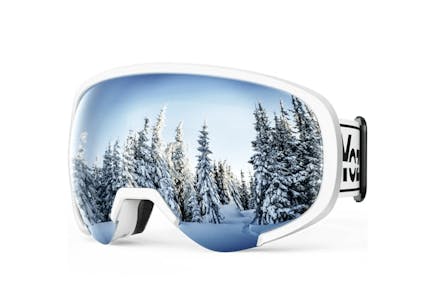 Anti-Fog Ski Goggles