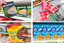 dollar tree michelina's, old el paso, kraft, idahoan 4-photo collage