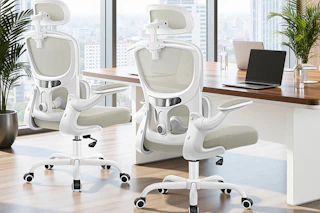 Ergonomic Office Chair