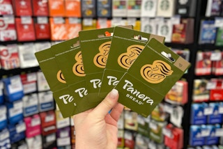 a hand holding Panera gift cards      