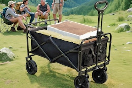 Collapsible Wagon Cart, Now $25.49 on Amazon card image