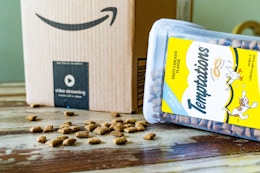 Temptations Cat Treats being spilled over