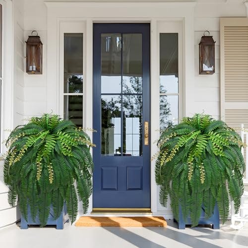 Artificial Ferns