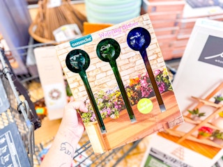 aldi-home-and-garden-deals-watering-globe