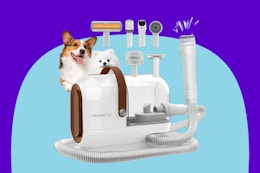 Pet Grooming Vacuum Kit, Only $37 on Amazon card image