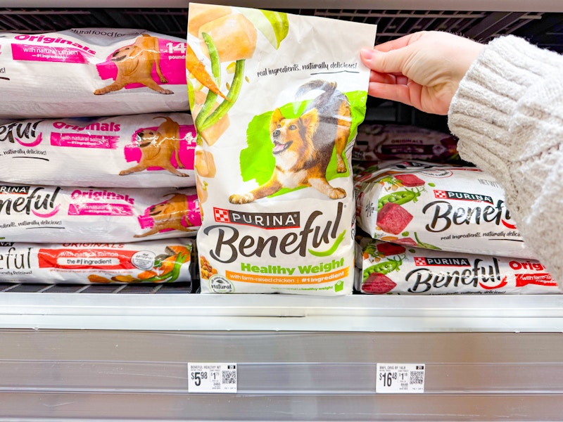 walmart-beneful-dry-dog-food
