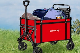 This Utility Wagon Is Only $35.09 on Amazon (Available in 4 Colors) card image