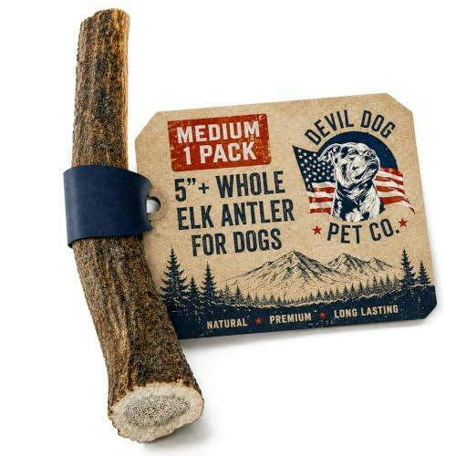 Whole Elk Antlers for Dogs
