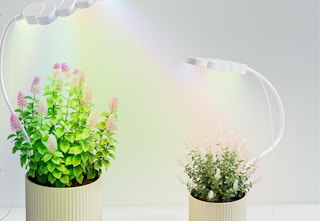 plant grow lights shining on plants