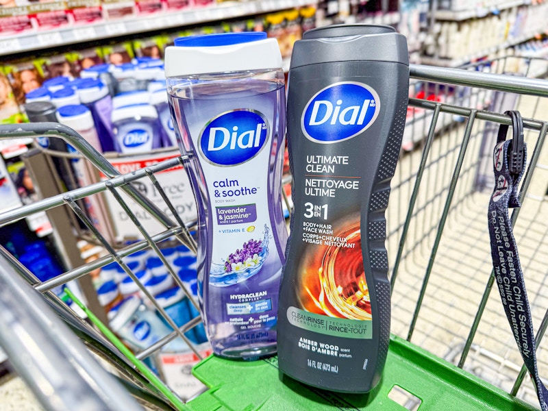 publix-dial-body-wash-1