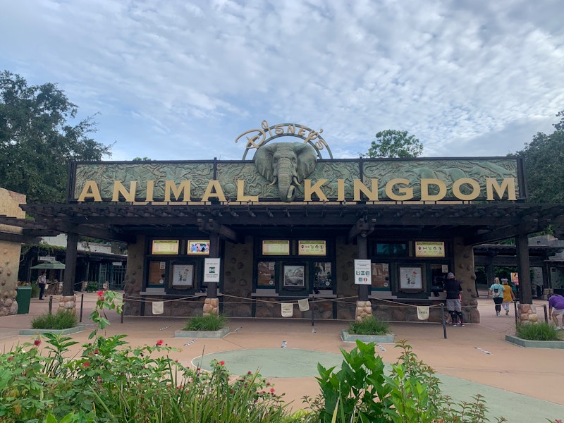 the entrance to the Animal Kingdom park at disney world