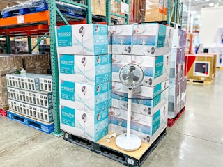 costco-woozoo-pedestal-fan-1