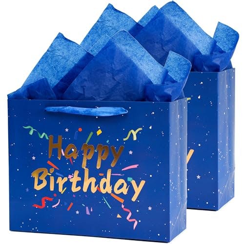 Birthday Gift Bags 2-Pack
