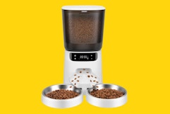 Automatic Dual Cat Feeder, Just $36 on Amazon card image