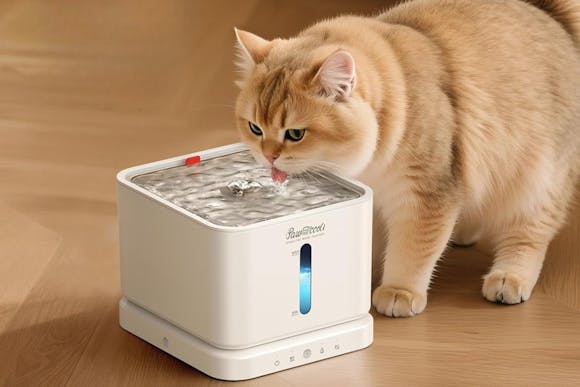 Amazon's Choice: Cordless Cat Water Fountain, Just $17.98