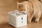 Cordless Cat Water Fountain