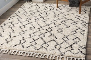 Lifestyle image (close up shot) of the Livabliss Berber Shag Area Rug (8 x 10 foot) in home setting