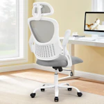 Mesh Ergonomic Office Chair