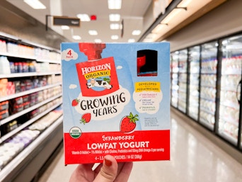 A hand holding a box of Horizon Organic Growing Years Lowfat Yogurt in the dairy aisle at Target