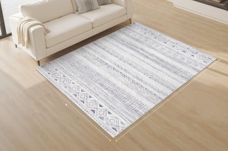 area rug in front of couch