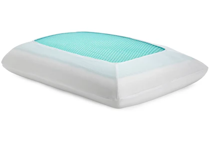 Sealy Memory Foam Pillow