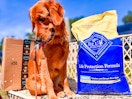 amazon-blue-buffalo-dog-food