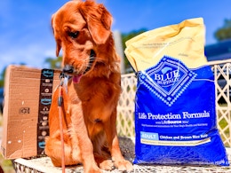 Blue Buffalo Dry Dog Food 30-Pound Bag, as Low as $36.98 Each on Amazon card image