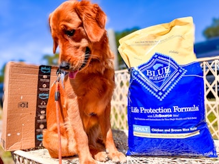 amazon-blue-buffalo-dog-food