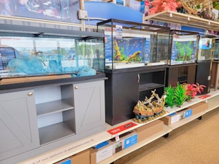 Aquarium section at PetSmart