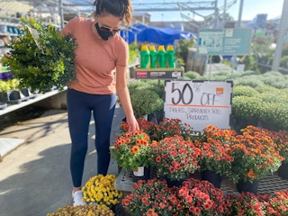 the home depot fall plant clearance joanie2 1644975976 1644975976