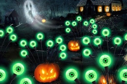 eyeball lights in a field