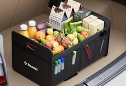 a trunk organizer with fruits and food in a trunk