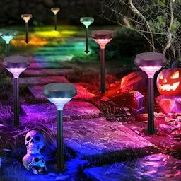 Solar Pathway Lights