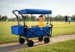 lowes foldable wagon cart