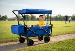 lowes foldable wagon cart