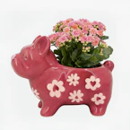 Valentine's Day Frenchie Planter