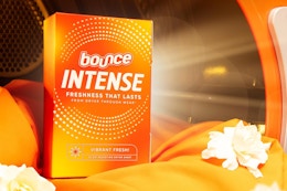 Bounce dryer sheet box inside dryer