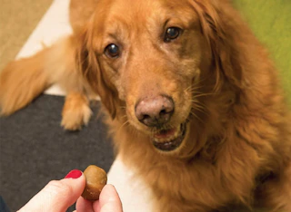 amazon greenies pill pockets 1646329292 1646329292 e1646329306684