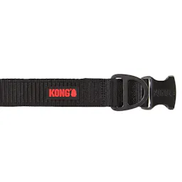 KONG Dog Collar