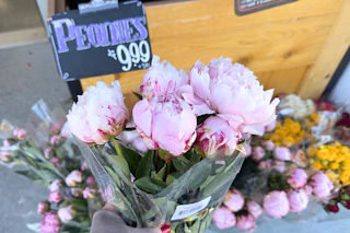 trader-joes-june-22