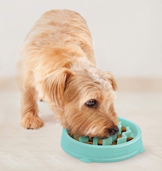 amazon outward hound fun feeder slo bowl 2023 2 1678894719 1678894719