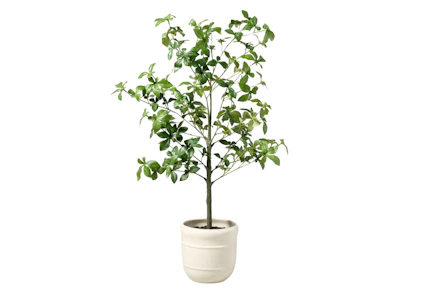 Magnolia Hearth & Hand Faux Tree