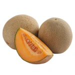 Cantaloupe