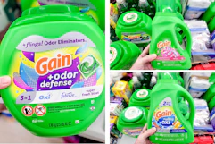 dollar general gain laundry detergent 3-photo collage