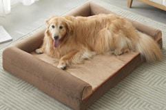 Large Washable Dog Bed, Only $22.99 on Amazon card image