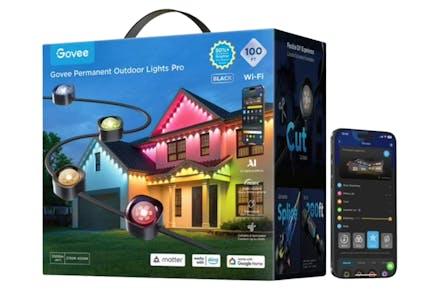 Govee Pro Lights