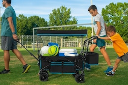 Lowest Price Yet: Wagon Cart With Canopy, Now $76 at Walmart (Reg. $170) card image